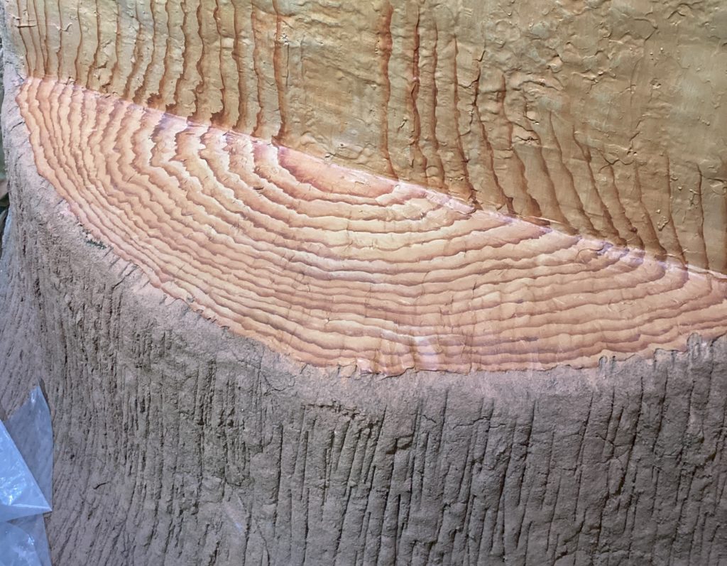 株式会社TRIP・TRIP inc.の施工画像。デコラティブペイント。木目。年輪。