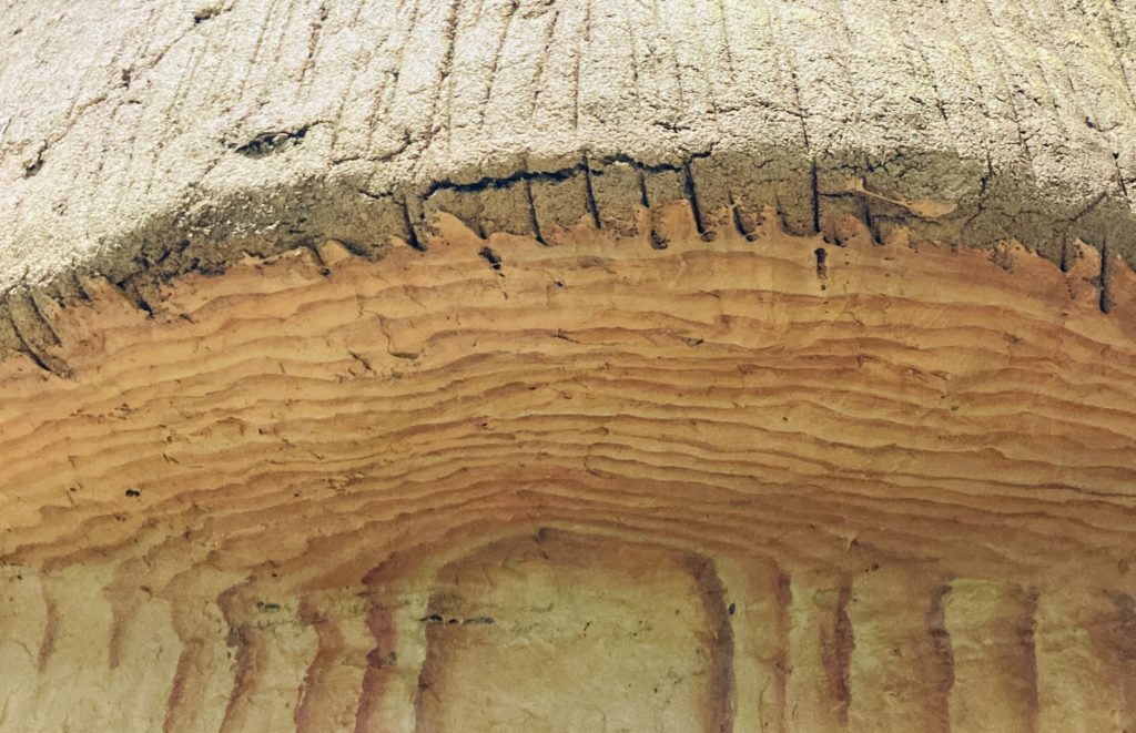 株式会社TRIP・TRIP inc.の施工画像。デコラティブペイント。木目。年輪。